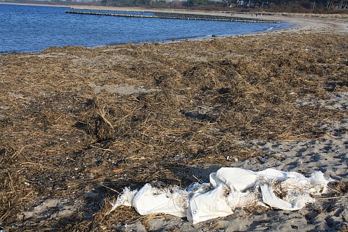 Warnemünde
Marine litter found at the beach
Küste - Strand, Naturschutz, Tourismus, Verschmutzung/Müll/Altlasten, Ökosystemschädigung, Küste - Düne
Laura Dienstbach